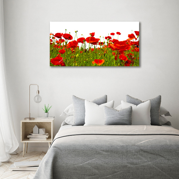 Glass acrylic wall art Field poppies