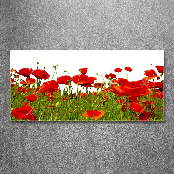 Glass acrylic wall art Field poppies