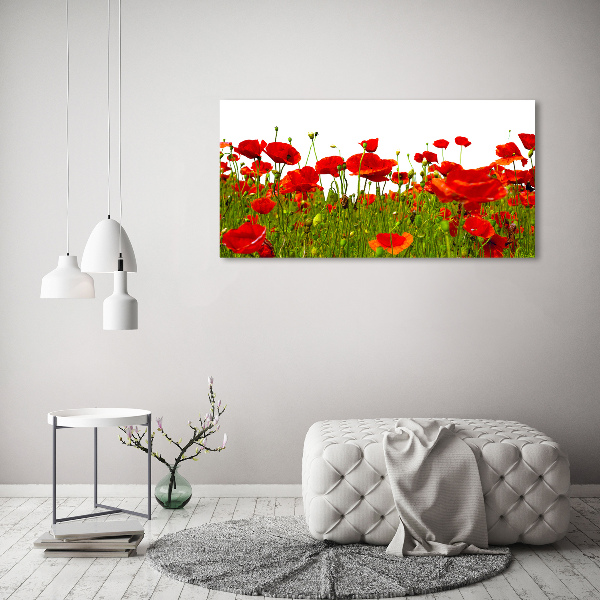 Glass acrylic wall art Field poppies