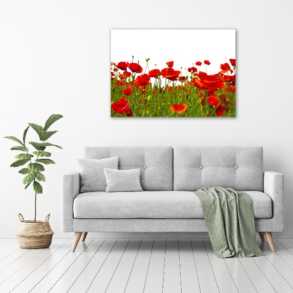 Glass acrylic wall art Field poppies