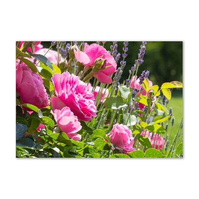 Glass acrylic wall art Wild Rose