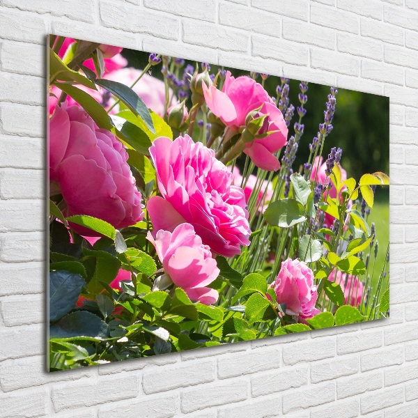 Glass acrylic wall art Wild Rose