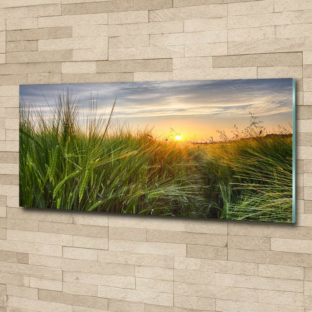 Wall art acrylic Wheat field