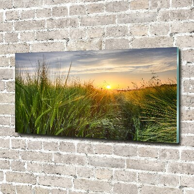 Wall art acrylic Wheat field