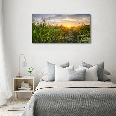 Wall art acrylic Wheat field