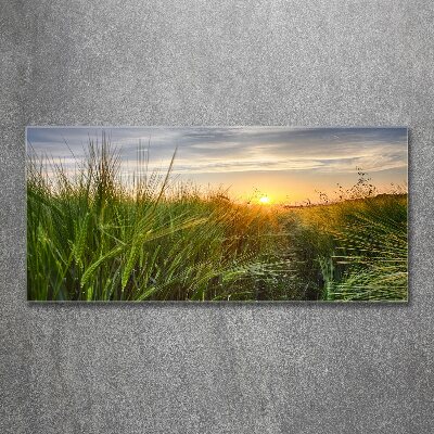 Wall art acrylic Wheat field