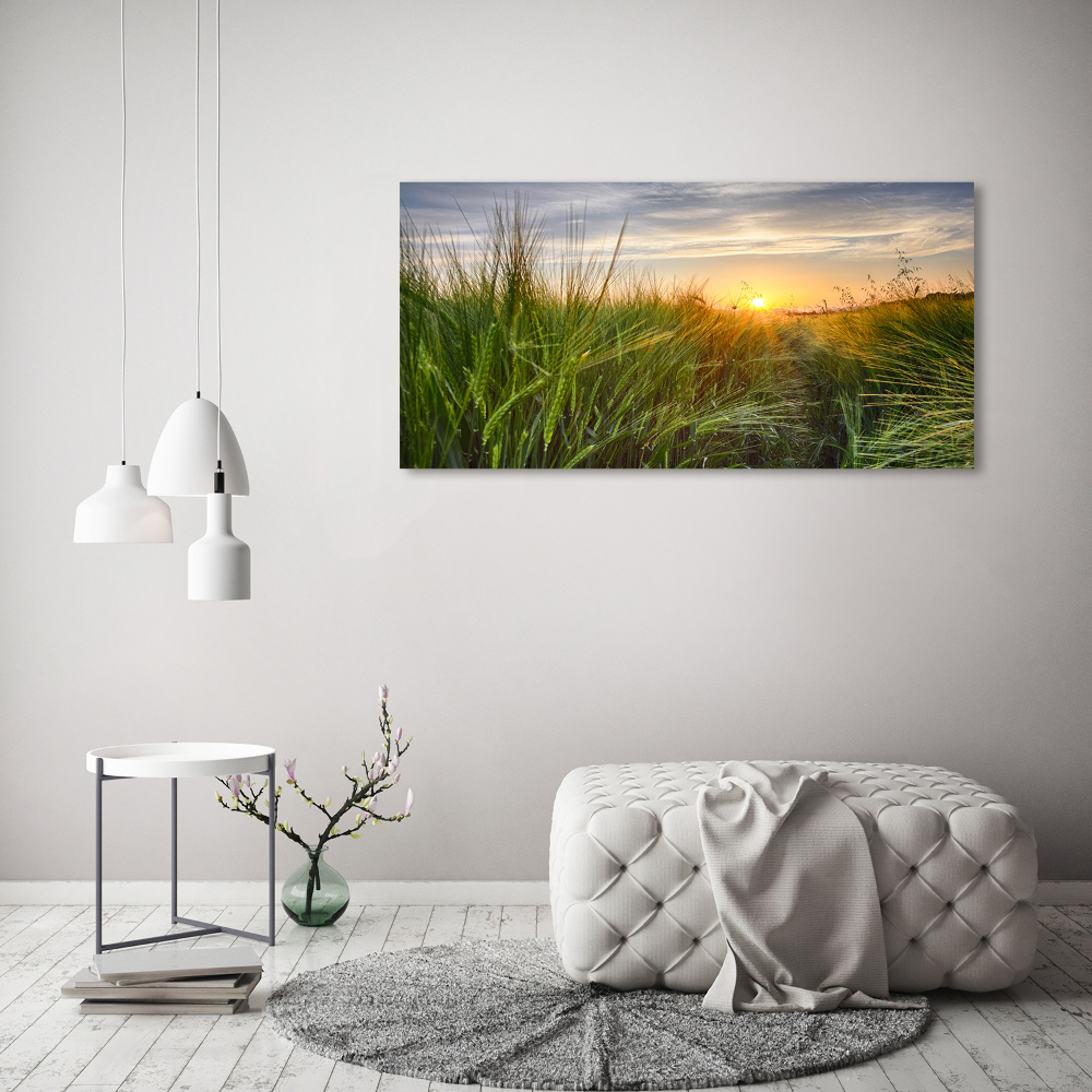 Wall art acrylic Wheat field