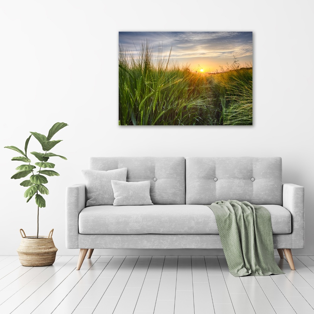 Wall art acrylic Wheat field