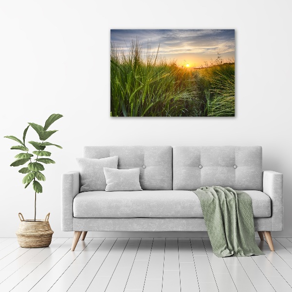 Wall art acrylic Wheat field