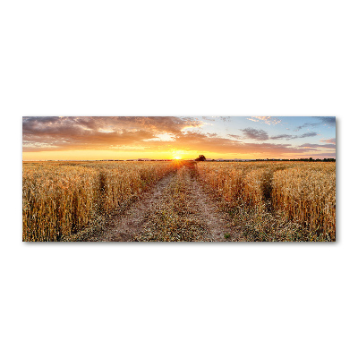 Acrylic wall art Wheat field