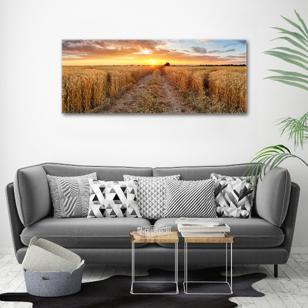 Acrylic wall art Wheat field