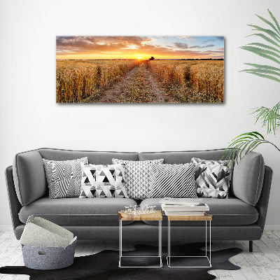 Acrylic wall art Wheat field