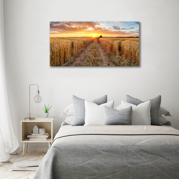 Acrylic wall art Wheat field