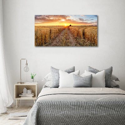 Acrylic wall art Wheat field