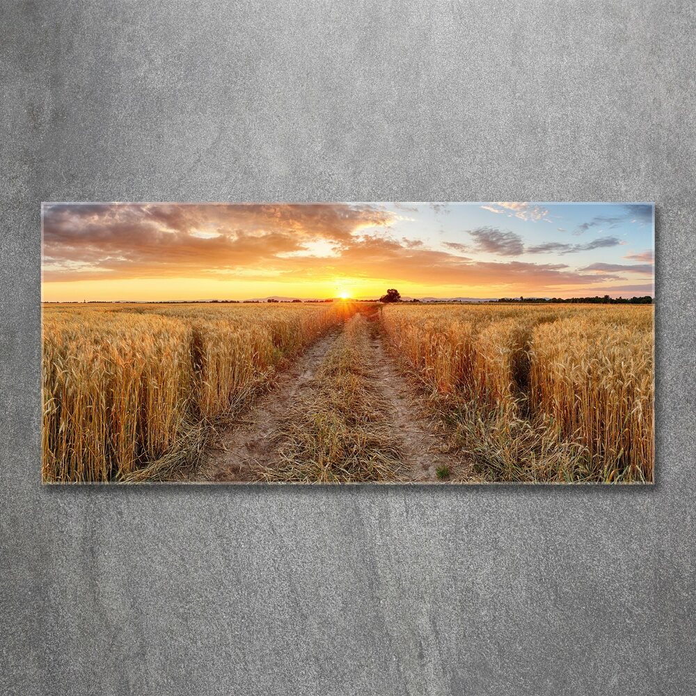 Acrylic wall art Wheat field