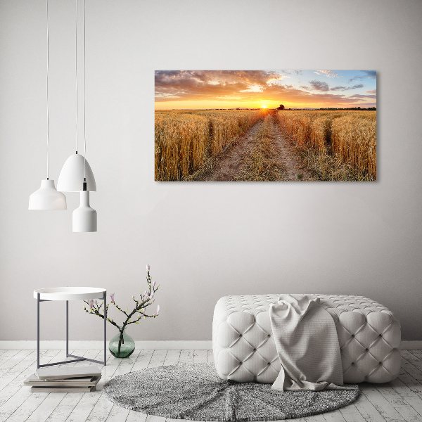 Acrylic wall art Wheat field