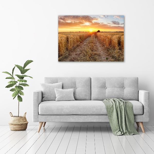 Acrylic wall art Wheat field