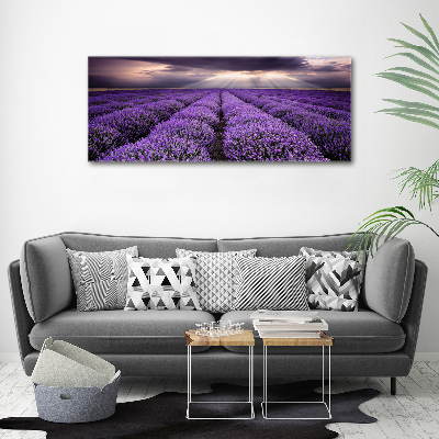 Print on acrylic Lavender field