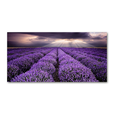 Print on acrylic Lavender field