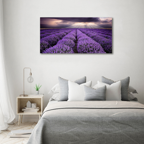 Print on acrylic Lavender field