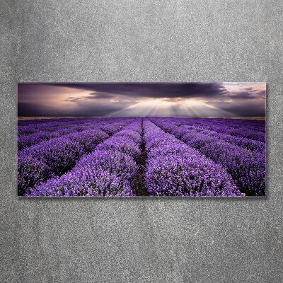 Print on acrylic Lavender field