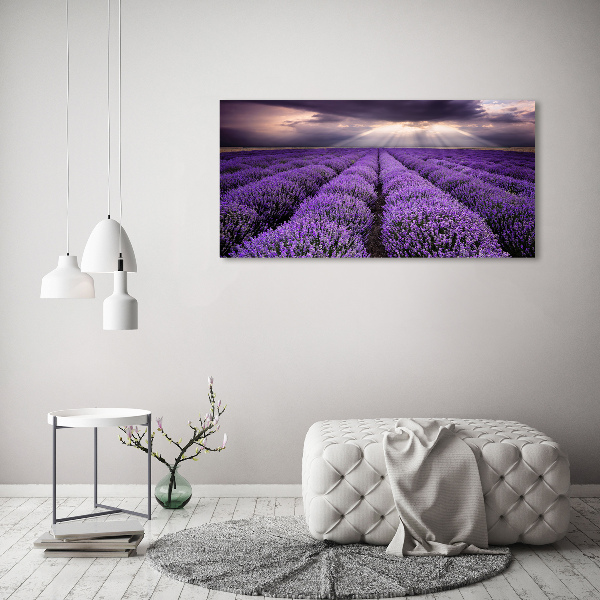 Print on acrylic Lavender field