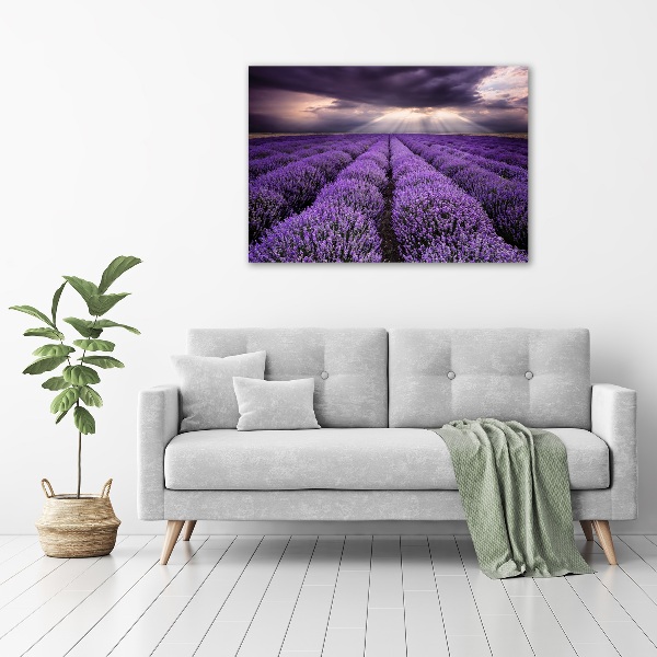 Print on acrylic Lavender field