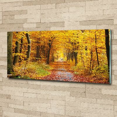 Print on acrylic Forest in autumn