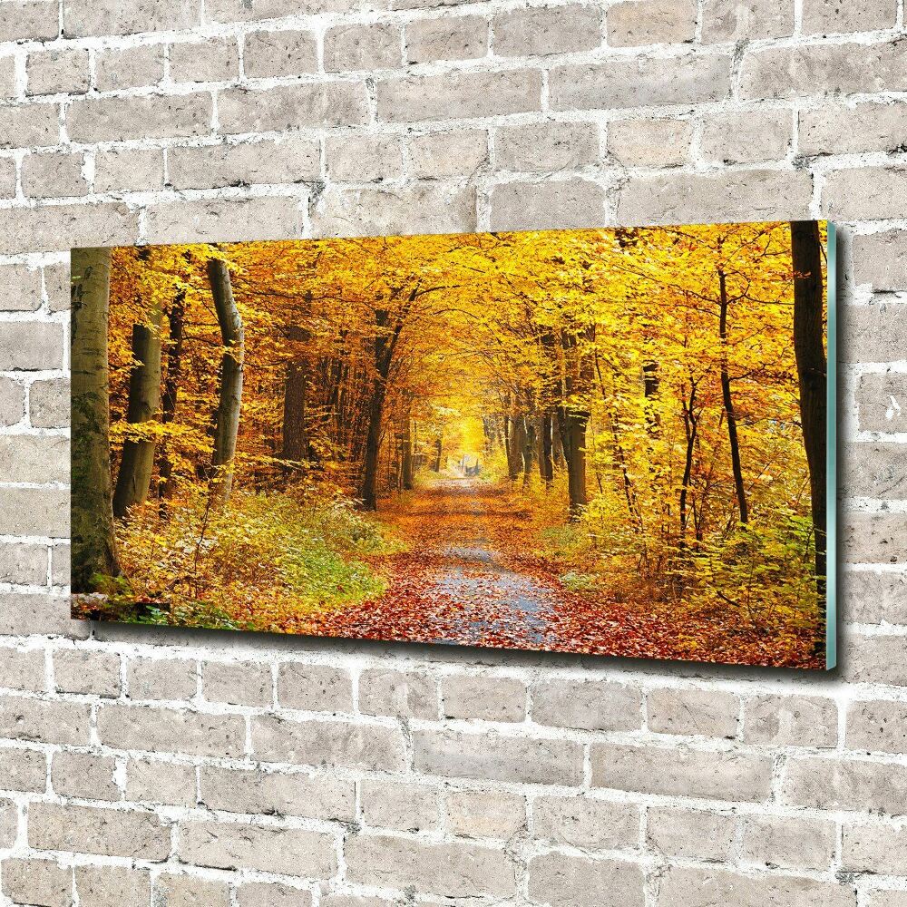 Print on acrylic Forest in autumn