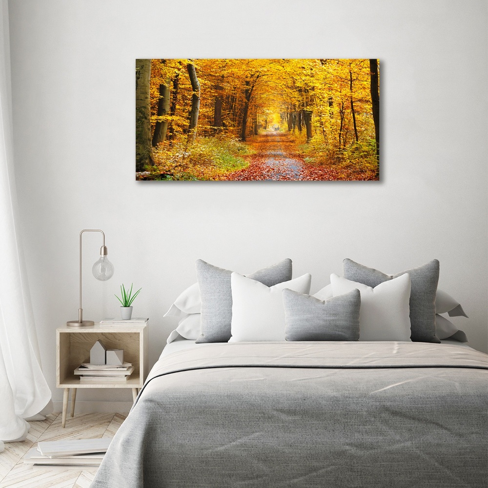 Print on acrylic Forest in autumn