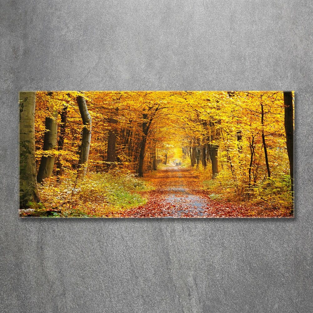 Print on acrylic Forest in autumn