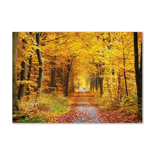 Print on acrylic Forest in autumn