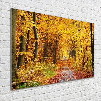 Print on acrylic Forest in autumn