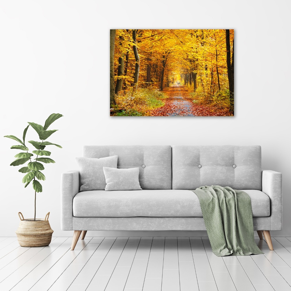 Print on acrylic Forest in autumn