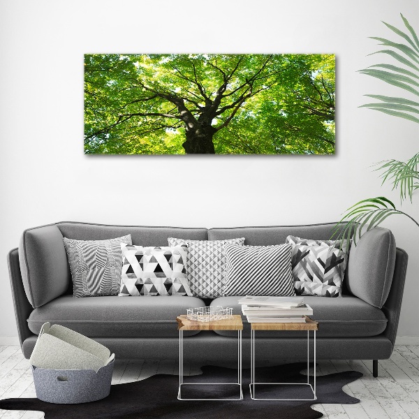 Glass acrylic wall art Green Forest