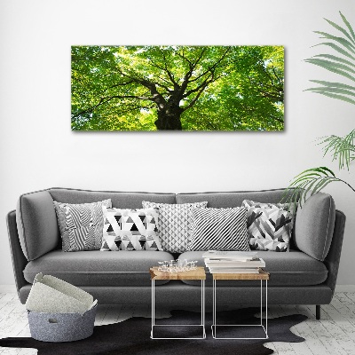 Glass acrylic wall art Green Forest