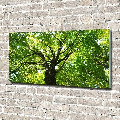 Glass acrylic wall art Green Forest