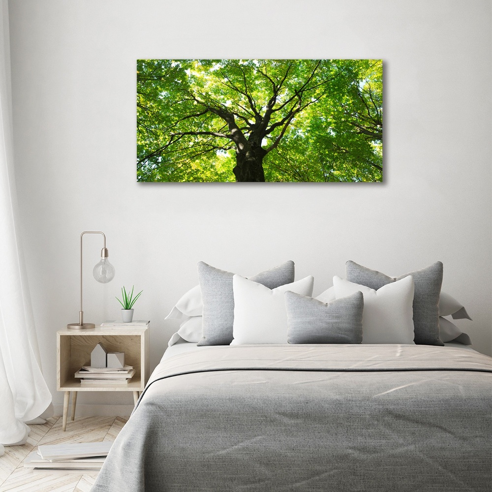 Glass acrylic wall art Green Forest