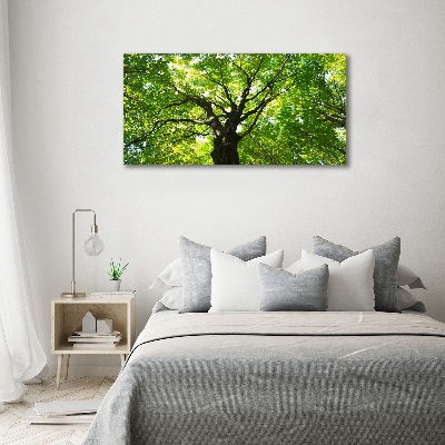 Glass acrylic wall art Green Forest