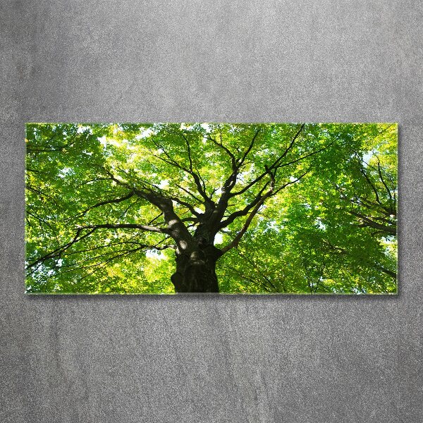 Glass acrylic wall art Green Forest