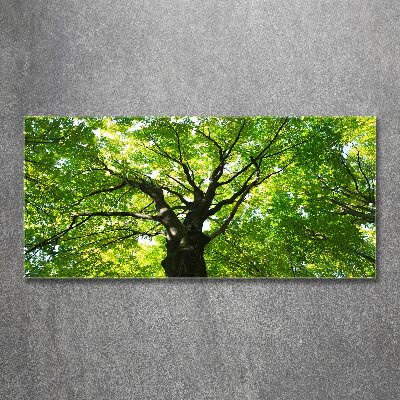 Glass acrylic wall art Green Forest