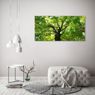 Glass acrylic wall art Green Forest