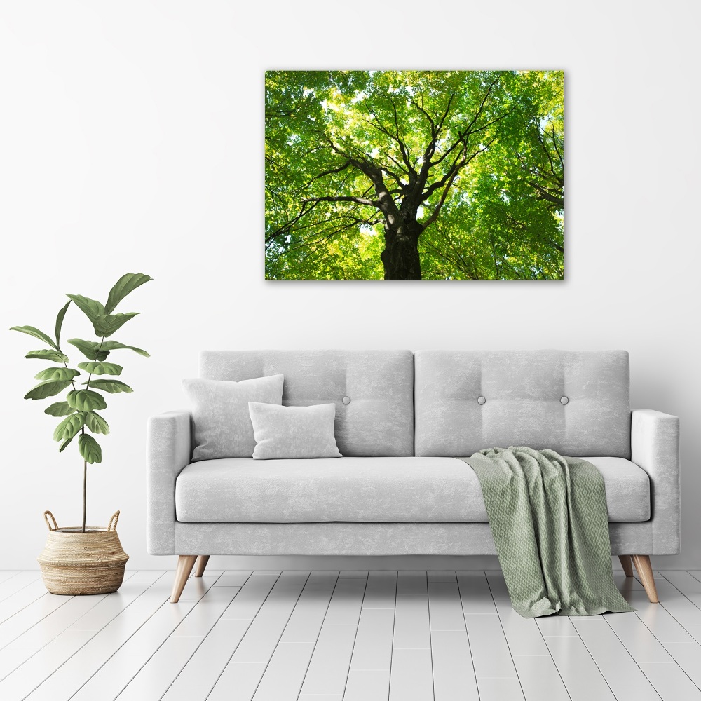 Glass acrylic wall art Green Forest