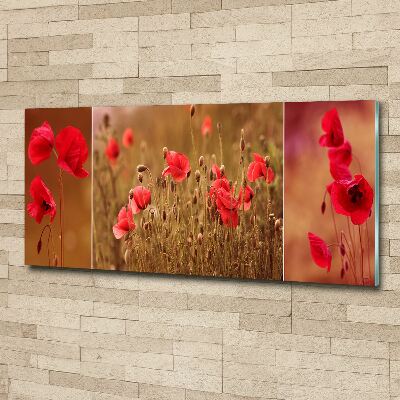 Glass acrylic wall art Triptych Maki