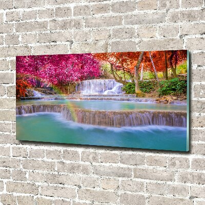 Print on acrylic Waterfall in the forest