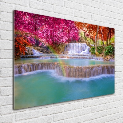 Print on acrylic Waterfall in the forest