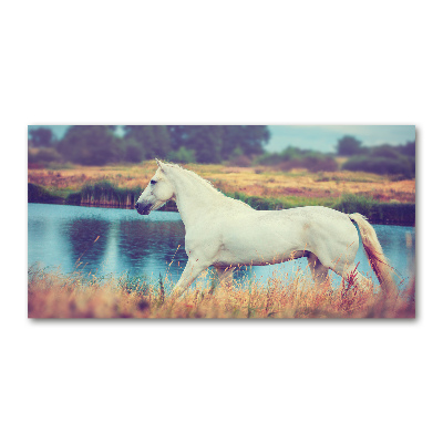 Print on acrylic White horse lake