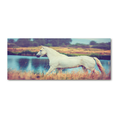 Print on acrylic White horse lake