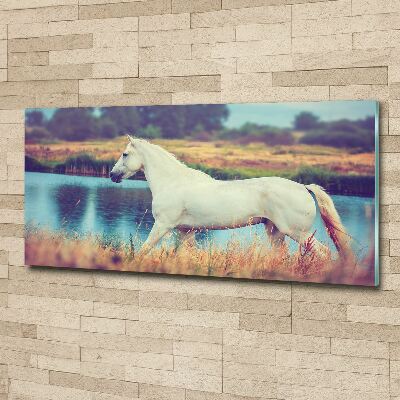 Print on acrylic White horse lake