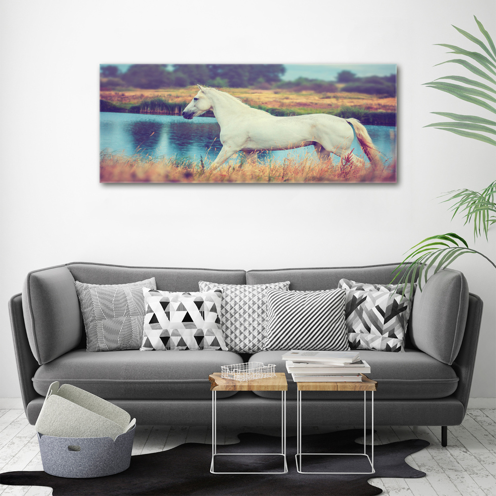 Print on acrylic White horse lake